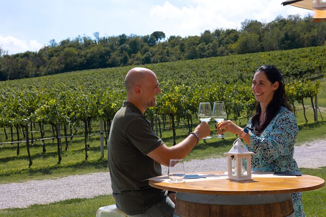 From Venice: Olive Oil & Wine Tour in the Venetian Hills - Cantina Colli Euganei and Regional Wine Tasting