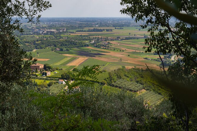 From Venice: Olive Oil & Wine Tour in the Venetian Hills - Timing, Weather, and Practical Details