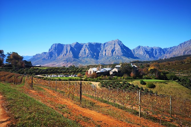 Full-Day Chocolate, Cheese, Olive and Wine Tour from Stellenbosch - A full day built around South African flavors