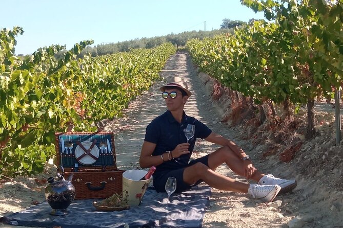 Full day in Cordoba between Vineyards and Olive Trees with a Convertible Car - Four olive oils in the Montilla hills