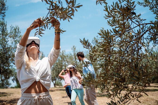 Full-Day Private Tour Corinth and Olive Oil Tasting from Athens - Timing, comfort, and the limits of a six-hour day