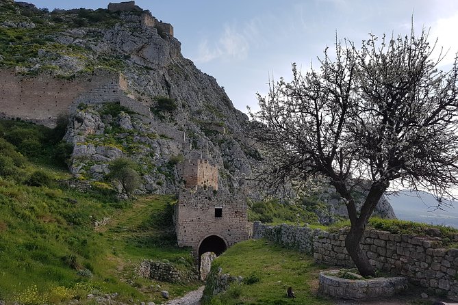 Full day tour Ancient Corinth with wine or olive oil tasting - Who will get the most from this day