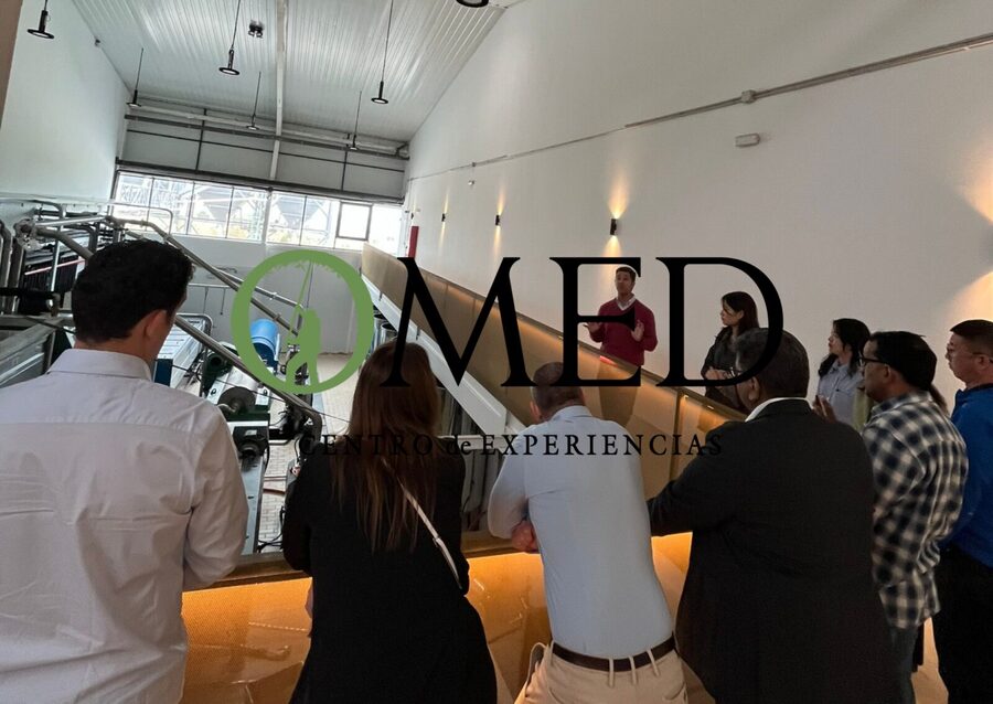 Granada in EVOO: Guided tour and unique sensorial tasting - Why OMED Makes a Good Break From Granada