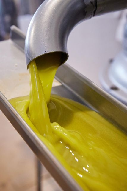 Granada in EVOO: Guided tour and unique sensorial tasting - Price, Booking, and Practical Details