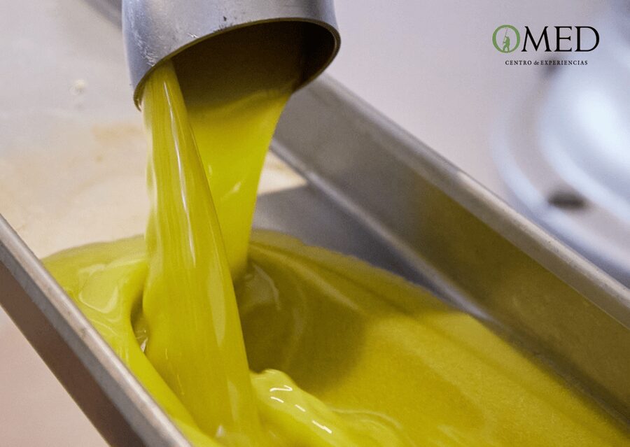 Granada in EVOO: Olive grove guided tour and sensory tasting - How the price compares with the experience
