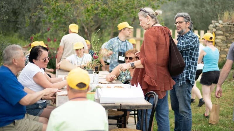 Greece in a Drop: Olive Grove Walk and Olive Oil Tasting - Why the small group matters