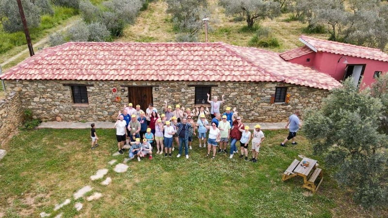 Greece in a Drop: Olive Grove Walk and Olive Oil Tasting - Is $29 a fair price?