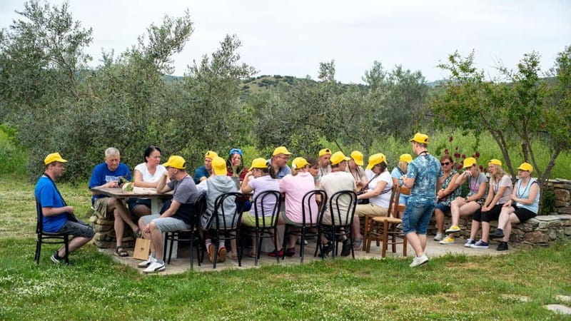 Greece in a Drop: Olive Grove Walk and Olive Oil Tasting - Who will enjoy this estate visit most?