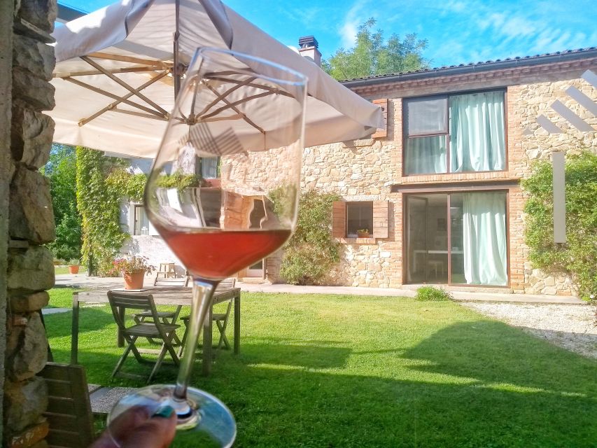 Guided Olive Oil & Wine Tour From Padua - Key points to know before you go