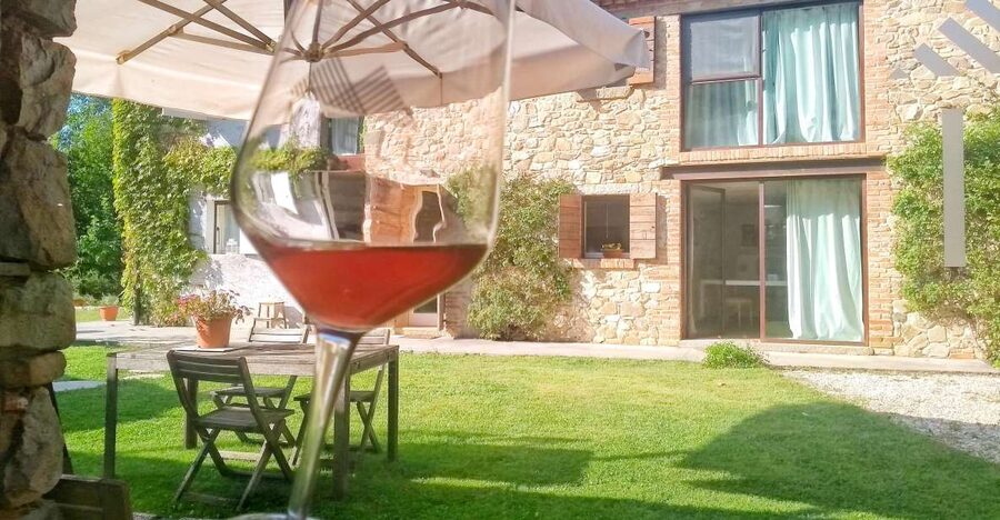 Guided Olive Oil & Wine Tour From Padua - Leaving Padua for the Euganean Hills