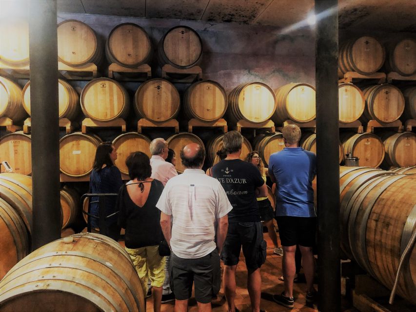 Guided Olive Oil & Wine Tour From Padua - The olive mill and the taste of fresh oil