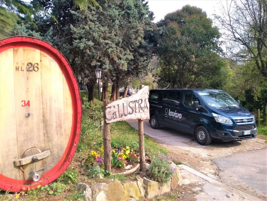Guided Olive Oil & Wine Tour From Padua - Should you book the Euganean Hills tour?
