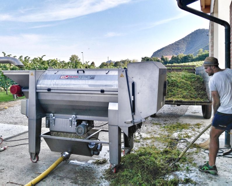 Guided Olive Oil & Wine Tour From Padua - What makes the Euganean Hills different