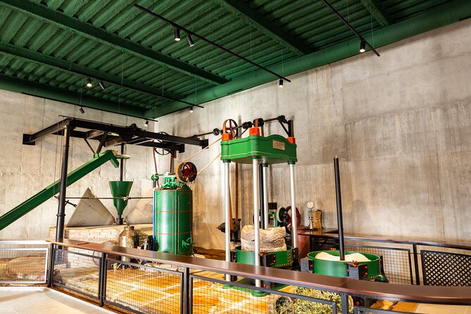 Guided tour and olive oil tasting in Alhaurin el Grande (Málaga) - From old mill machinery to modern olive oil