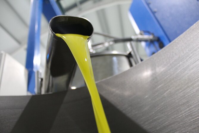 Guided tour and olive oil tasting in Alhaurin el Grande (Málaga) - Inside the current Aceites Molisur factory