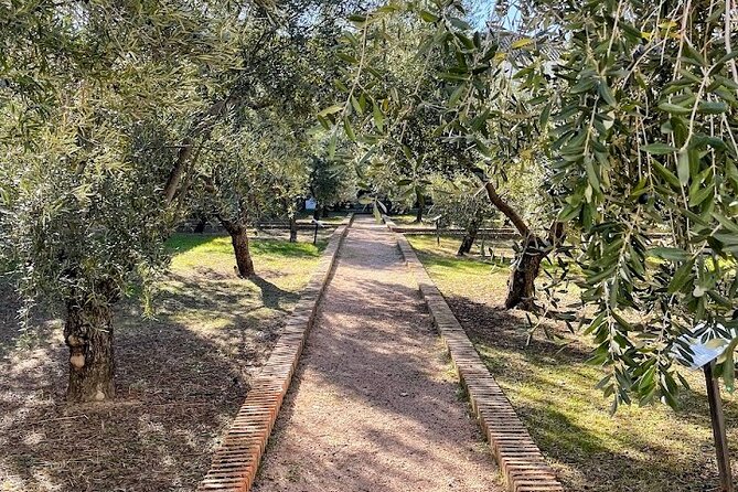 Guided tour of the Museum of Olive Culture Oil Tasting - Arriving at Hacienda La Laguna at 11:00 a.m.