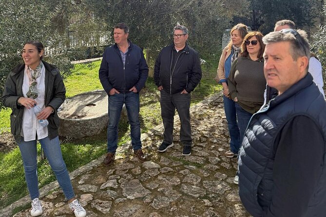 Guided tour of the Museum of Olive Culture Oil Tasting - Seeing the original milling and pressing systems