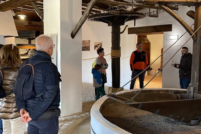 Guided tour of the Museum of Olive Culture Oil Tasting - Entering the Oil Cathedral