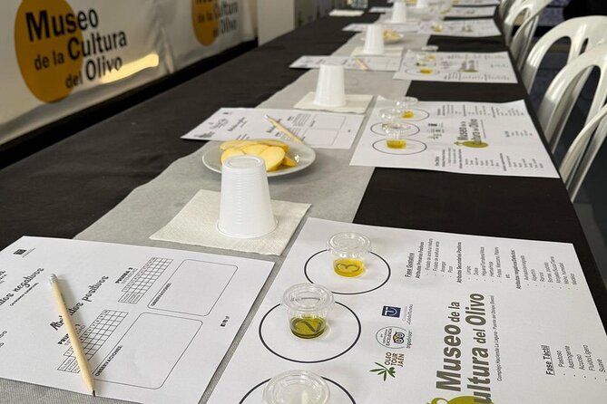 Guided tour of the Museum of Olive Culture Oil Tasting - Is $17.94 a fair price?