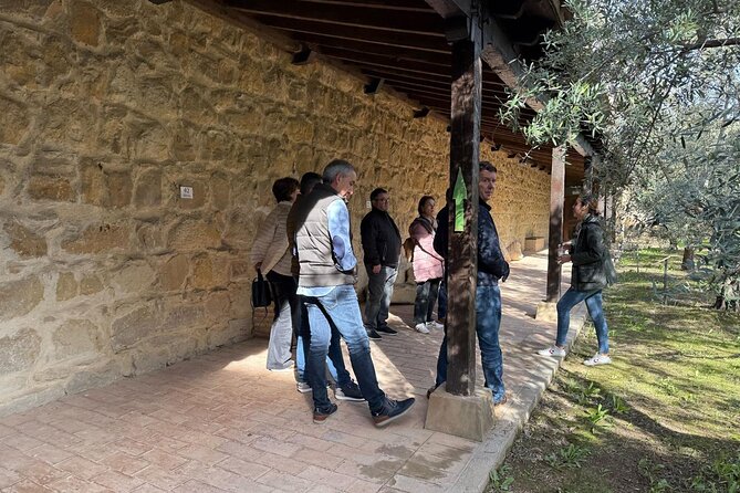 Guided tour of the Museum of Olive Culture Oil Tasting - The olive garden and 30 varieties