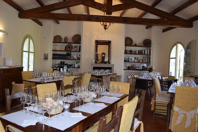 Guided Wine and Olive oil tasting - Key points to know before booking