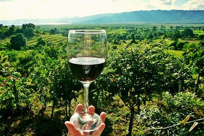 Half-Day Chianti Wine and Olive Oil Tour from Viareggio - Key points to know before booking