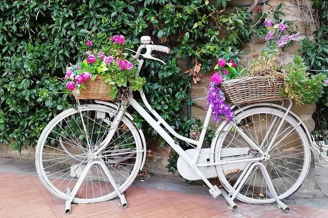 Half-Day Chianti Wine and Olive Oil Tour from Viareggio - Vinci, the village tied to Leonardo