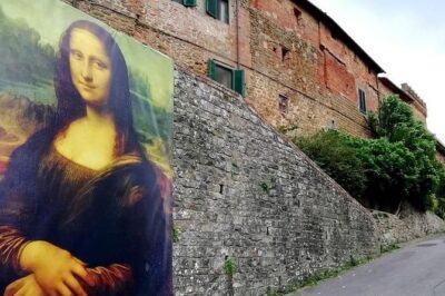 Half-Day Chianti Wine and Olive Oil Tour from Viareggio