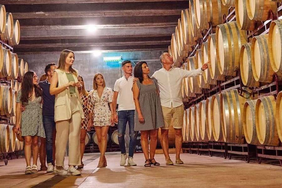 Half Day Tour of Wineries and Olive Oil from Mendoza - Key points at a glance