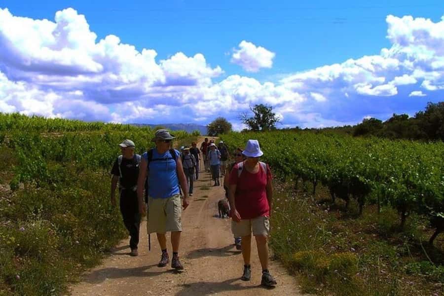 Half Day Tour of Wineries and Olive Oil from Mendoza - The second winery adds comparison