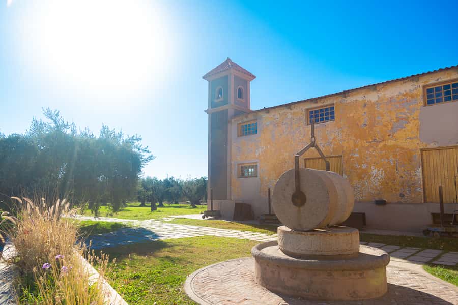 Half Day Tour of Wineries and Olive Oil from Mendoza - Buying bottles and getting them home