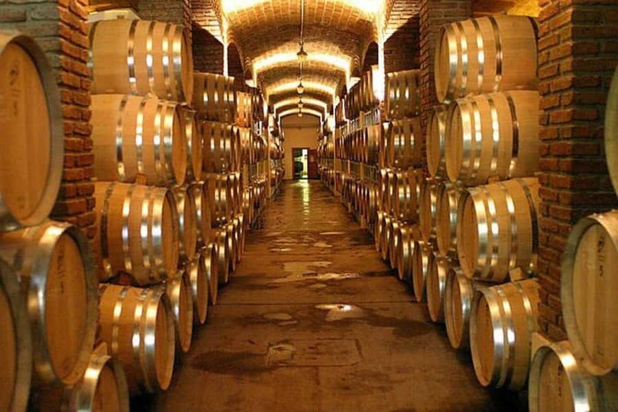 Half Day Tour of Wineries and Olive Oil from Mendoza - The first winery stop: learning how Mendoza makes wine