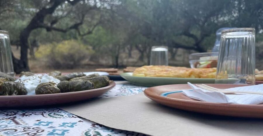 Heraklion: Cretan Farmers Brunch and Olive Grove Tour - Why this feels more like a farm visit than a standard food stop