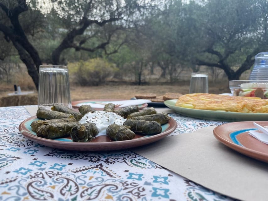 Heraklion: Cretan Farmers Brunch and Olive Grove Tour - Who will get the most from this experience