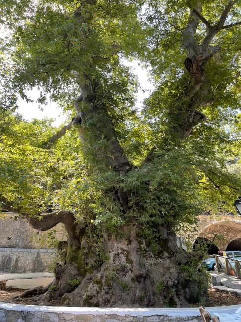 Heraklion: Knossos Zeus Cave Villages Olive Oil Factory Tour - What the guides add to the day