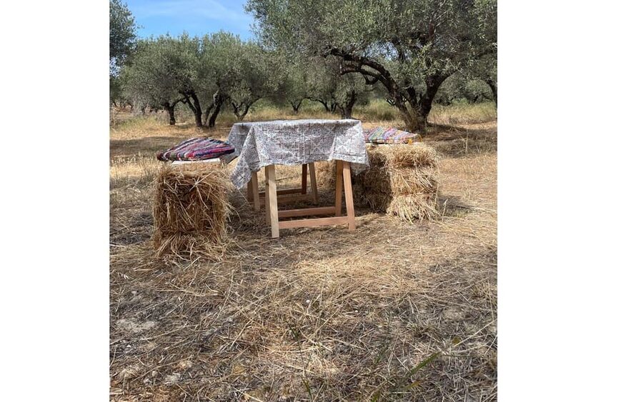 Heraklion :Olive & Dragon Farm Tour & Cretan Farmers Brunch - Key points at a glance