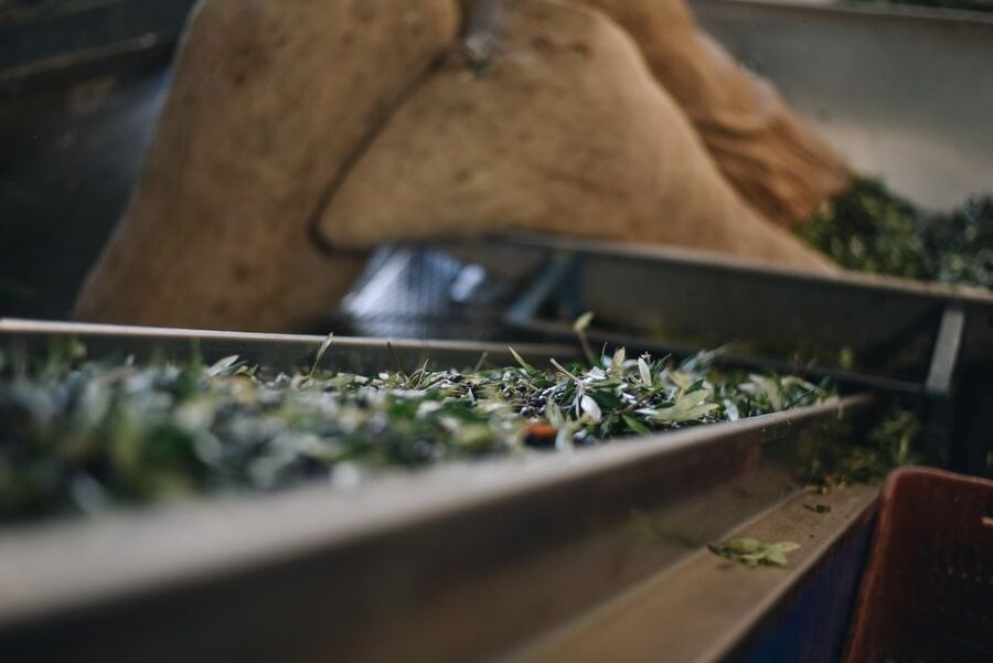 Heraklion: Olive Farm Tour with Tasting of Local Delicacies - Why Kleanthi is more than an olive oil sample