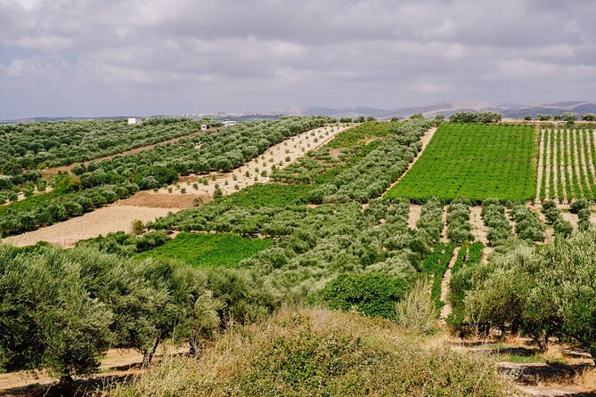 Heraklion Private Olive Oil and Wine Gastronomy tour with Lunch - A multi-course lunch with six wine pairings