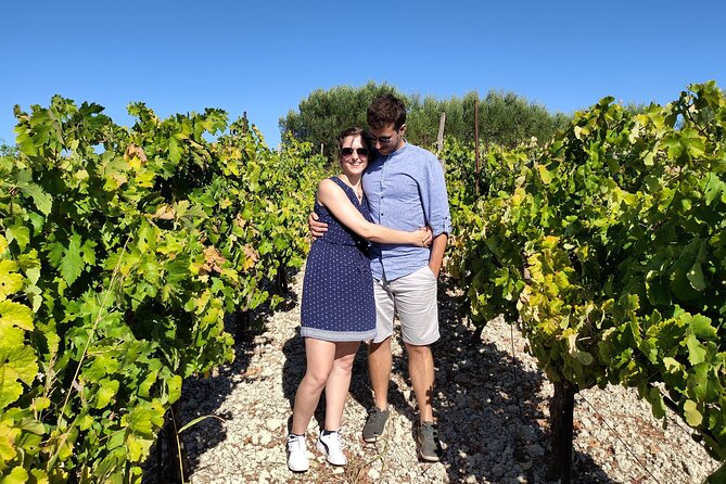 Heraklion Private Olive Oil and Wine Gastronomy tour with Lunch - Who should book this Heraklion food tour?