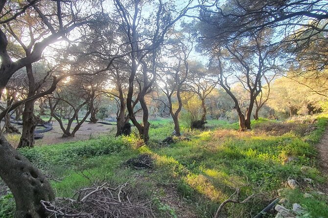 Hiking in the Olive Groves,Villages,Sunset,with Swim Stop - From Liapades Cemetery to the first coastal path