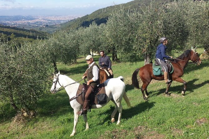 Horse ride, Olive Oil and local foods tasting in a Tuscan farm - Key points to know before you book