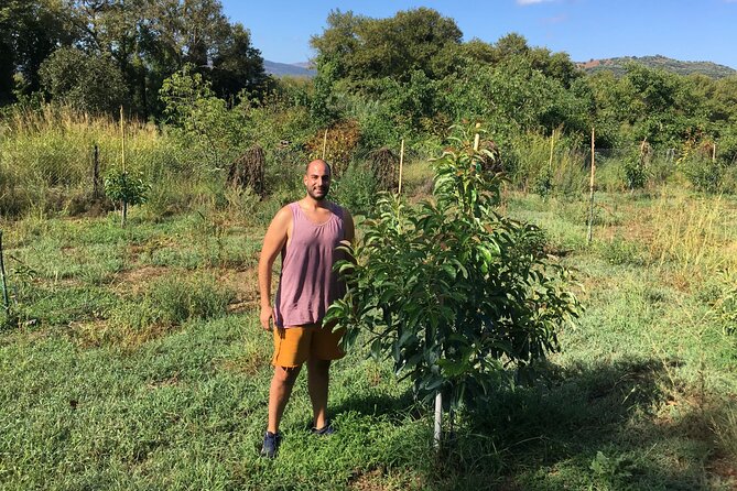 In Crete Discover the miracle of Olive Oil and Organic Fruits - Vryses riverside: A short pause in the day