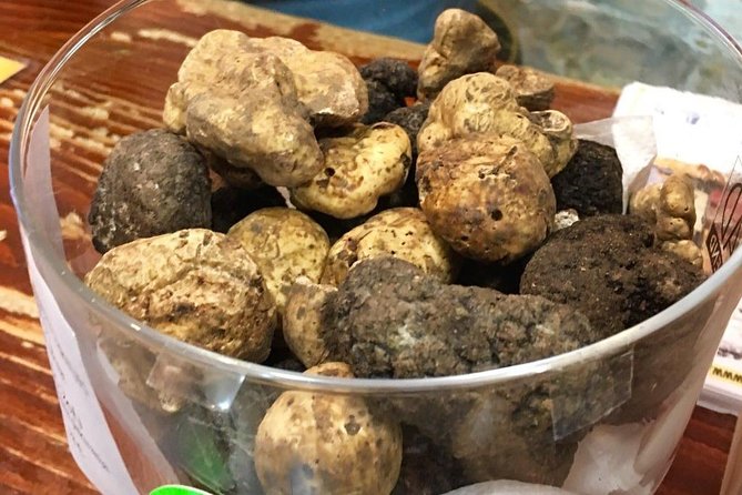 Istrian hill top cities tour with truffle and olive oil tasting - Key points to know before booking