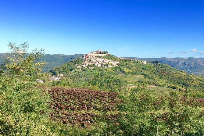 Istrian hill top cities tour with truffle and olive oil tasting - What the truffle and olive oil tasting is really like