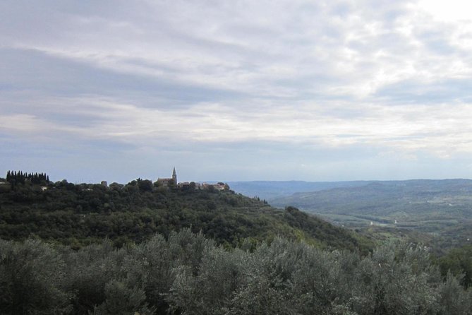 Istrian hill top cities tour with truffle and olive oil tasting - Is $116.78 good value?