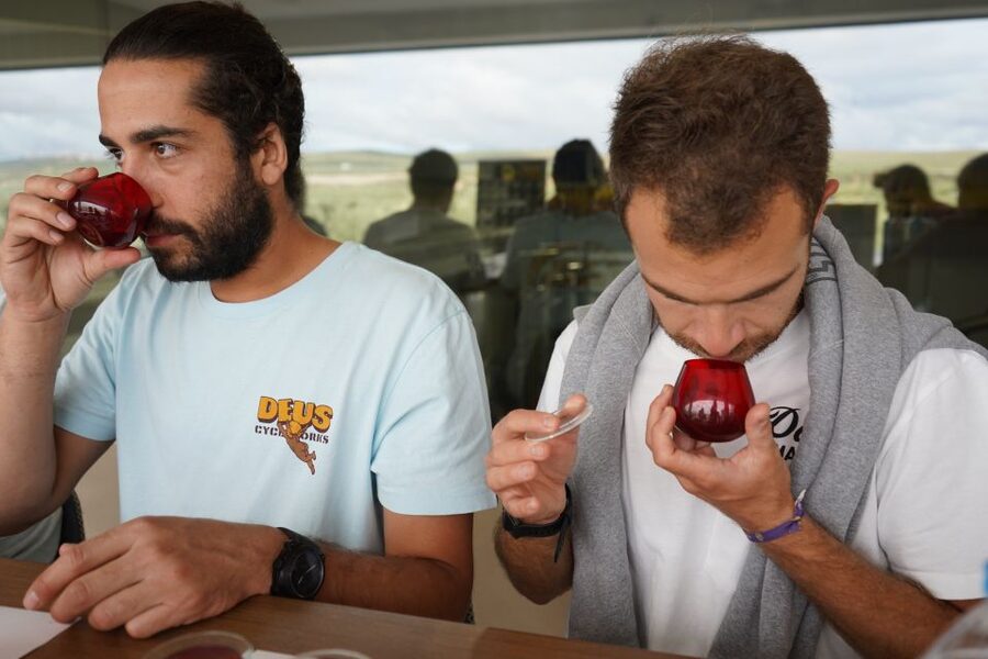 Jaén: Aires de Jaén Olive Oil Tasting Class - Key points at a glance