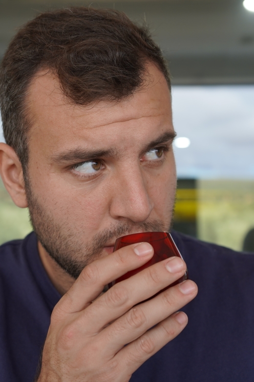Jaén: Aires de Jaén Olive Oil Tasting Class - Why this short Jaén tasting is worth your time