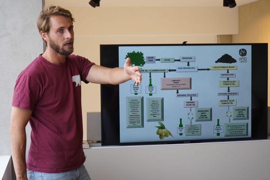 Jaén: Aires de Jaén Olive Oil Tasting Class - Using smell, taste, and sight
