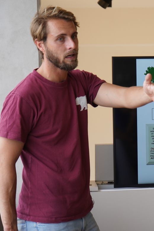 Jaén: Aires de Jaén Olive Oil Tasting Class - Who will enjoy this experience most