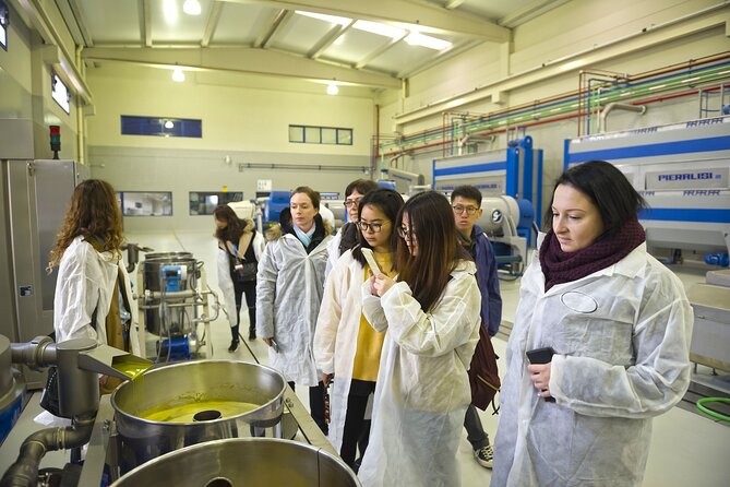 Jaén Discover the Secrets of Olive Oil: Tour & Sensory Tasting - Learning to taste three distinct oils